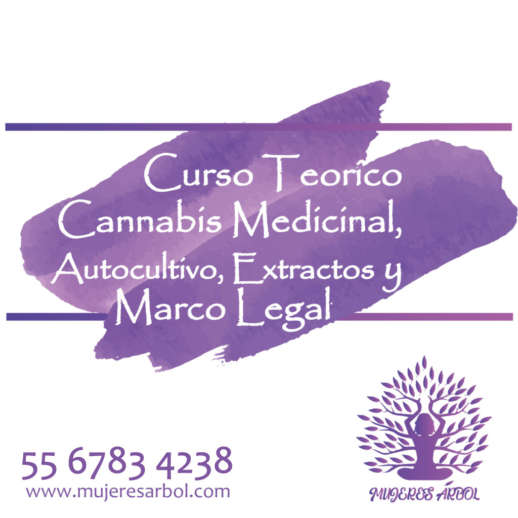 Curso Teórico Cannabis Medicinal, Autocultivo, Extractos y Marco legal