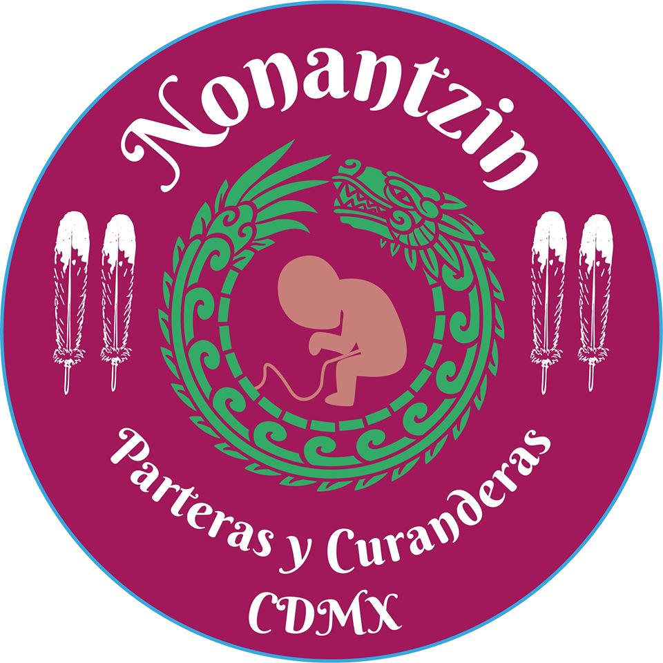 Red de Parteras MExicanas
