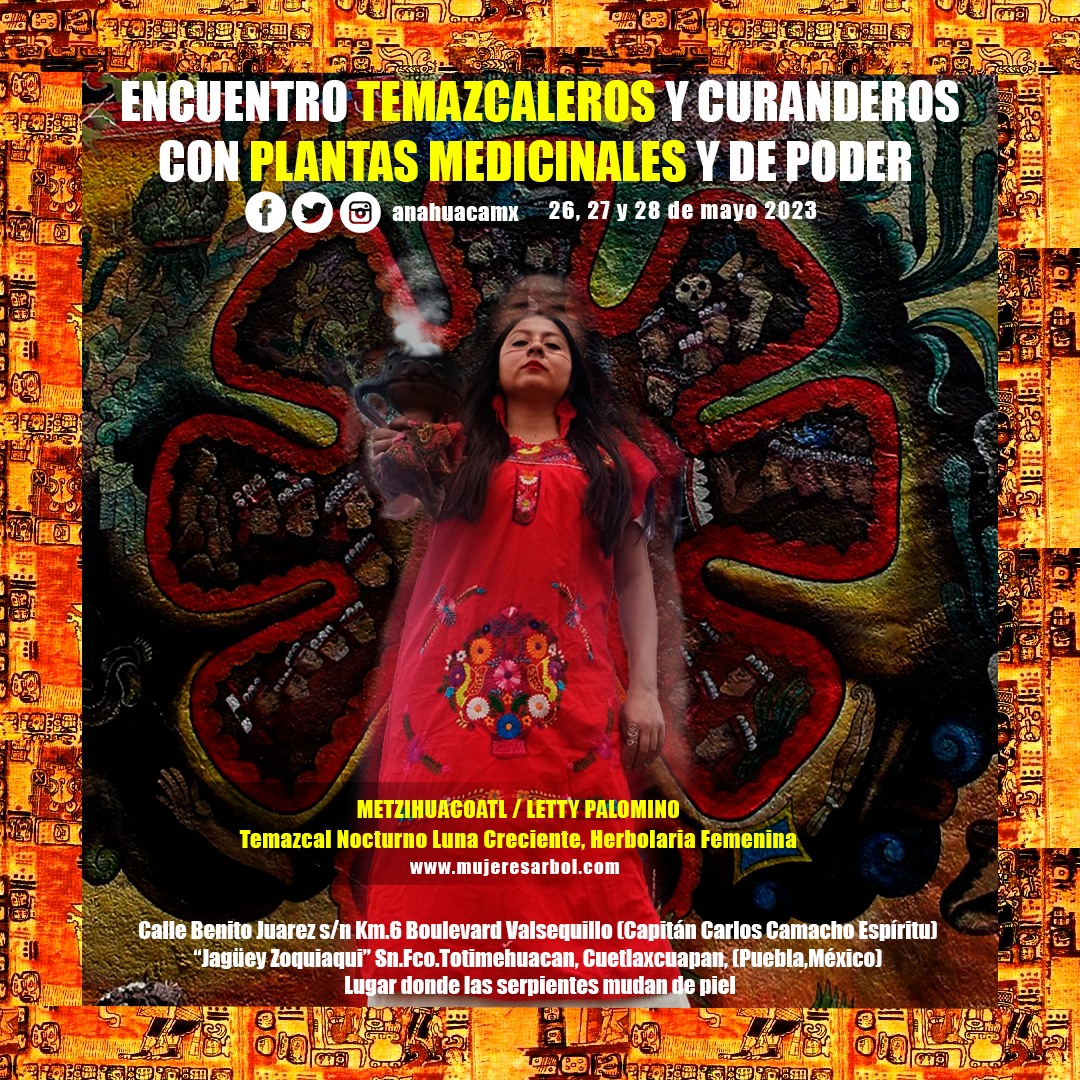 puebla-temazcal-1